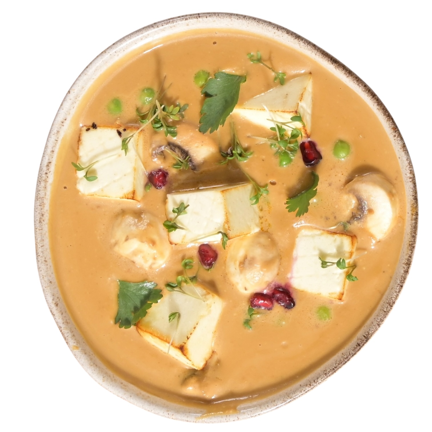 Shabnam Curry (mild)